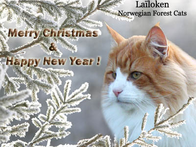 Lailoken's Skogkatts