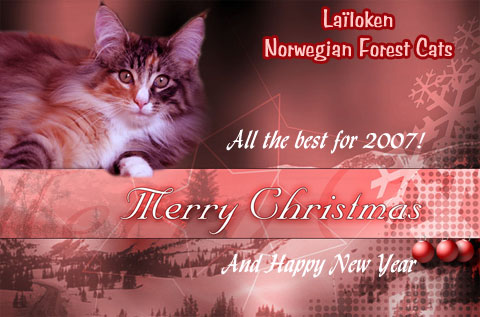 Lailoken's Skogkatts